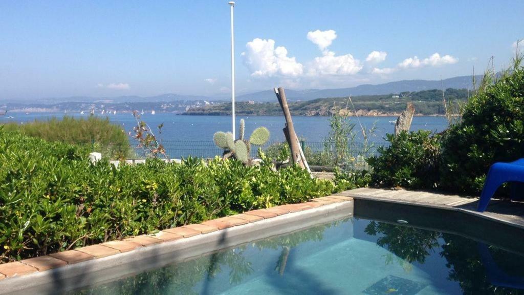 Un Coin De Paradis Six-Fours-les-Plages Εξωτερικό φωτογραφία